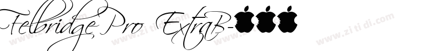 Felbridge Pro ExtraB字体转换